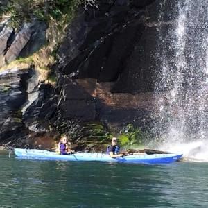 Meet your Posher, Molly